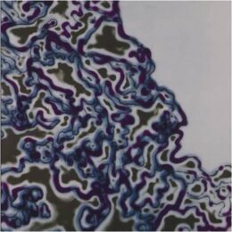 Close Up Iii by Harold Cohen at Pomegranate Fine Art