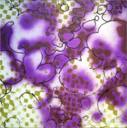 Close Up Iv by Harold Cohen at Pomegranate Fine Art