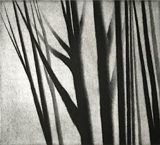Composition, Upstate by Robert Kipniss at ebo Gallery