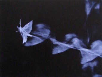 Crosswind by Paul Mutimear at Oehme Graphics