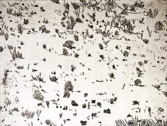 Dry by Mel Pekarsky at VanDeb Editions