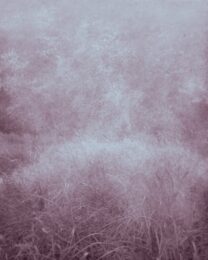 Early Morning 521 by Ted Kincaid at Manneken Press (IFPDA)
