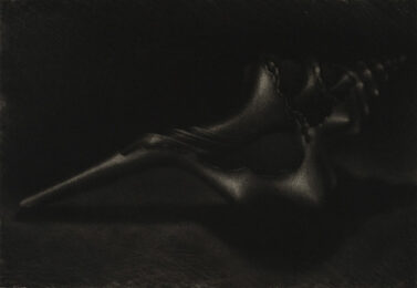 Elegy by Holly Downing at ebo Gallery