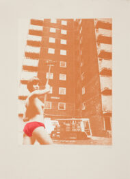 Family, Private Property And The State (brown) by Sarah Hardacre at Paul Stolper Gallery