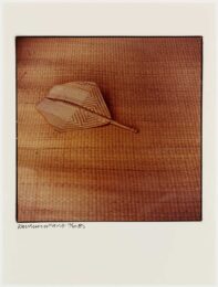 Fan by Robert Rauschenberg at Graphicstudio