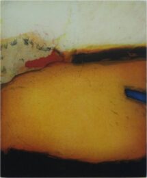 Fantasia by Christian Bozon at ebo Gallery