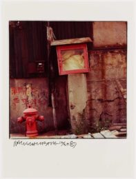 Fire Hydrant by Robert Rauschenberg at Graphicstudio