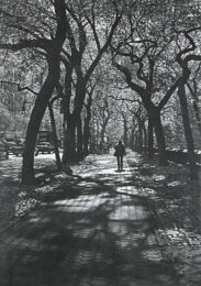 Follow by Art Werger at ebo Gallery