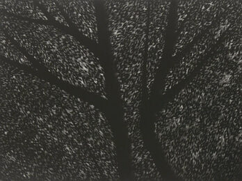 For Laurie by Robert Kipniss at ebo Gallery