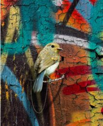 Gascoandes (letsdothis) by Mat Collishaw at Paul Stolper Gallery