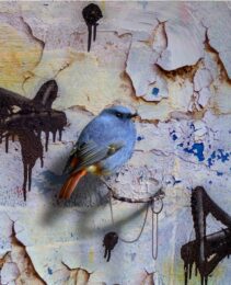 Gasconades (lawofsuccess) by Mat Collishaw at Paul Stolper Gallery