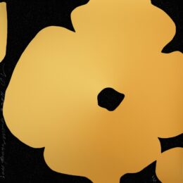 Golden Flowers, March 3, 2011 by Donald Sultan at ebo Gallery