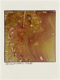 Green Mud by Robert Rauschenberg at Graphicstudio