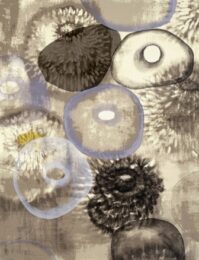 Happiness for Instance III by Ross Bleckner at Michael Lisi/Contemporary Art
