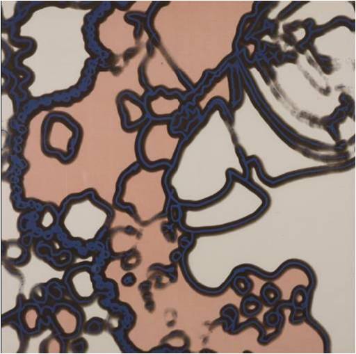 Close Up Vi by Harold Cohen