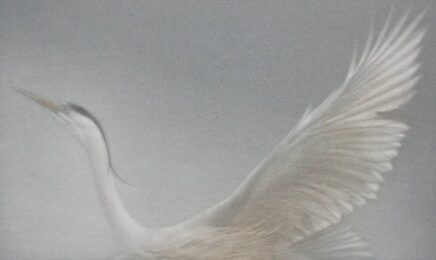 Heron i by Mikio Watanabe at ebo Gallery