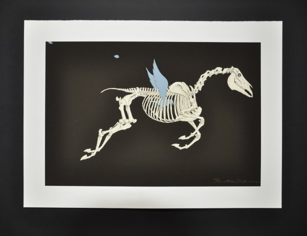 Altamira – Horse by Hideo Takeda