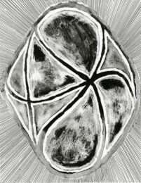 Infinity Bloom by Brian Cypher at Manneken Press (IFPDA)