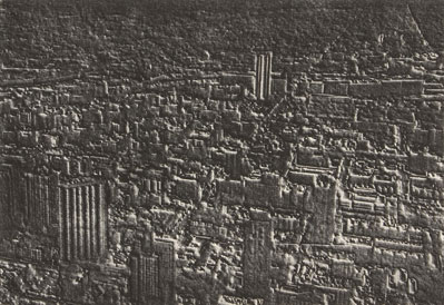 Regeneration II (Chicago) by Jane Dixon
