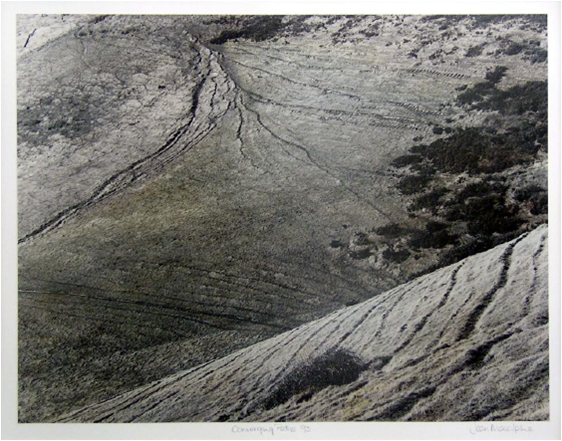Converging  Paths by Jean Macalpine