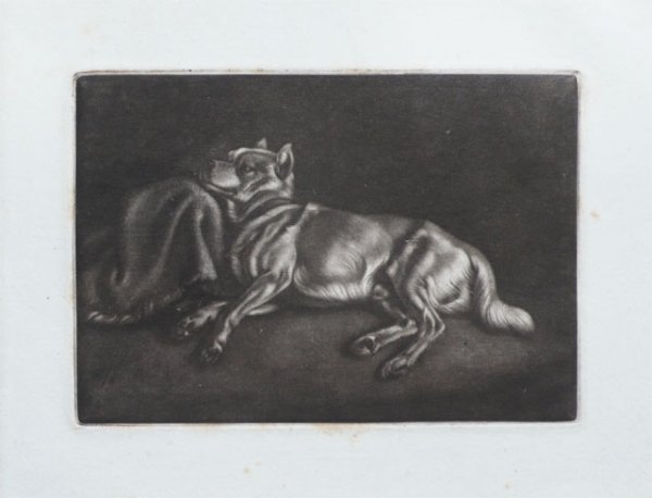 Schlafender Spitzhund by Johann Adam Klein