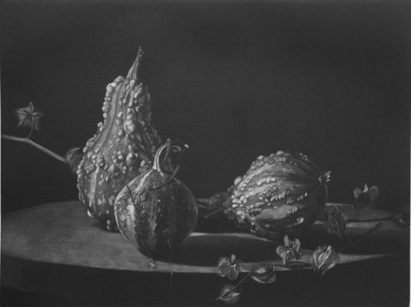 Coloquintes Et Physalis by Judith Rothchild