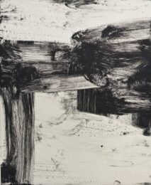 July Series 33 by Mark Saltz at VanDeb Editions