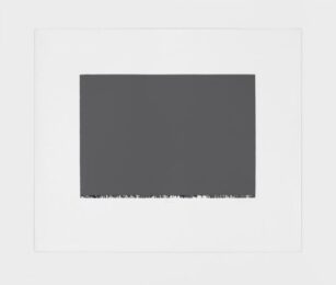 Lana 2 by Brice Marden at Susan Sheehan Gallery
