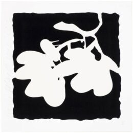 Lantern Flowers – White, May 10, 2012 by Donald Sultan at Michael Lisi/Contemporary Art