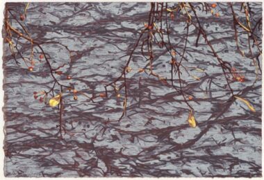 Late Fall Ii by Jean Gumpper at ebo Gallery
