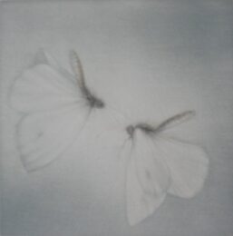 L’ete Blanc by Mikio Watanabe at ebo Gallery