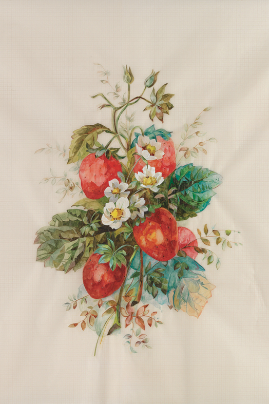 Snap _strawberries On Graph Paper by May Cornet