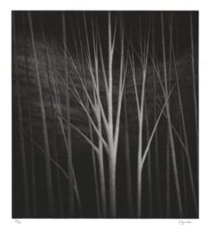 Memories by Robert Kipniss at ebo Gallery