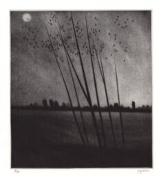 Moonrise & Sunset by Robert Kipniss at ebo Gallery