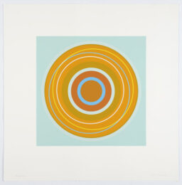Navajo by Carol Robertson at Kip Gresham Editions