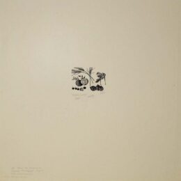 New Year’s Greeting / Still Life by Leonard Baskin at Sylvan Cole Gallery