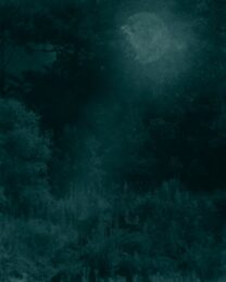 Nocturnal Landscape 228 by Ted Kincaid at Manneken Press (IFPDA)