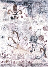 Notes From The Edge Of The World Intaglio 2 by Ken Buhler at Oehme Graphics