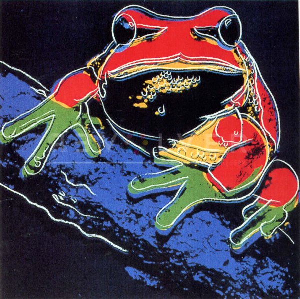 Pine Barrens Tree Frog (fs Ii.294) by Andy Warhol