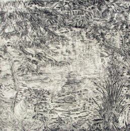 Pond’s Edge I by Nancy Friese at Oehme Graphics