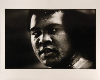 Portrait II. by David King at Peter Harrington Gallery