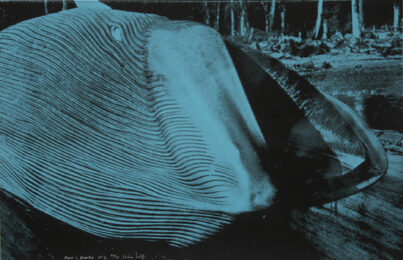 Power And Beauty No. 2 by Colin Self at RoGallery