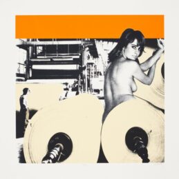 Prodotto by Sarah Hardacre at Paul Stolper Gallery