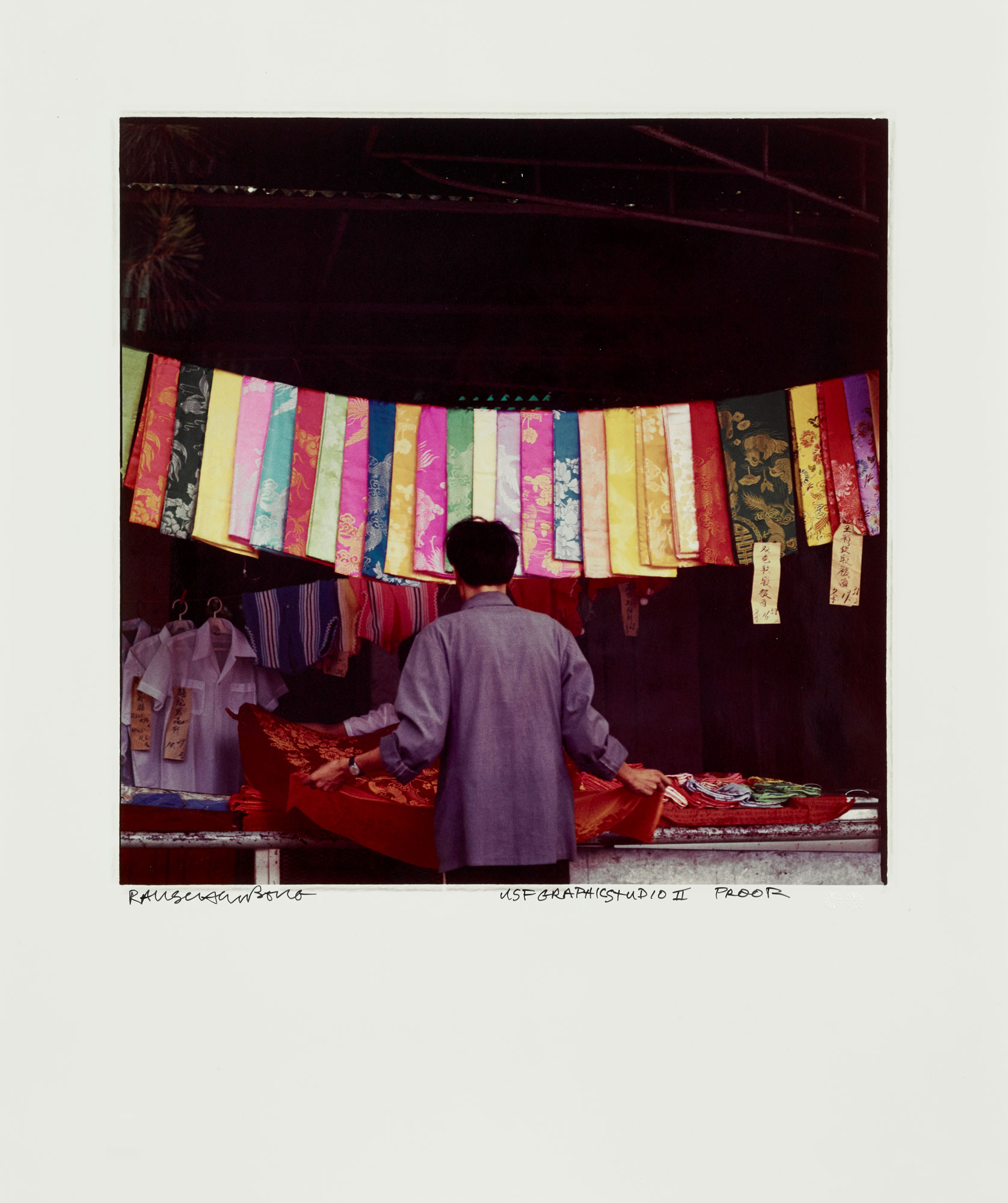 Hanging Silk by Robert Rauschenberg