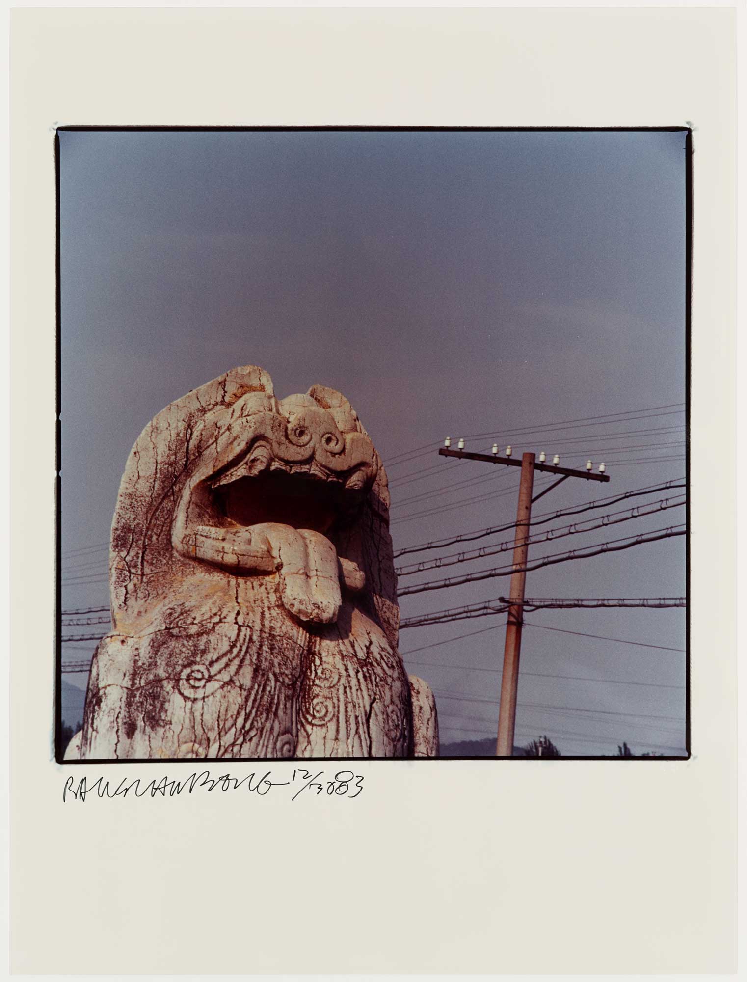 Dog And Wires by Robert Rauschenberg