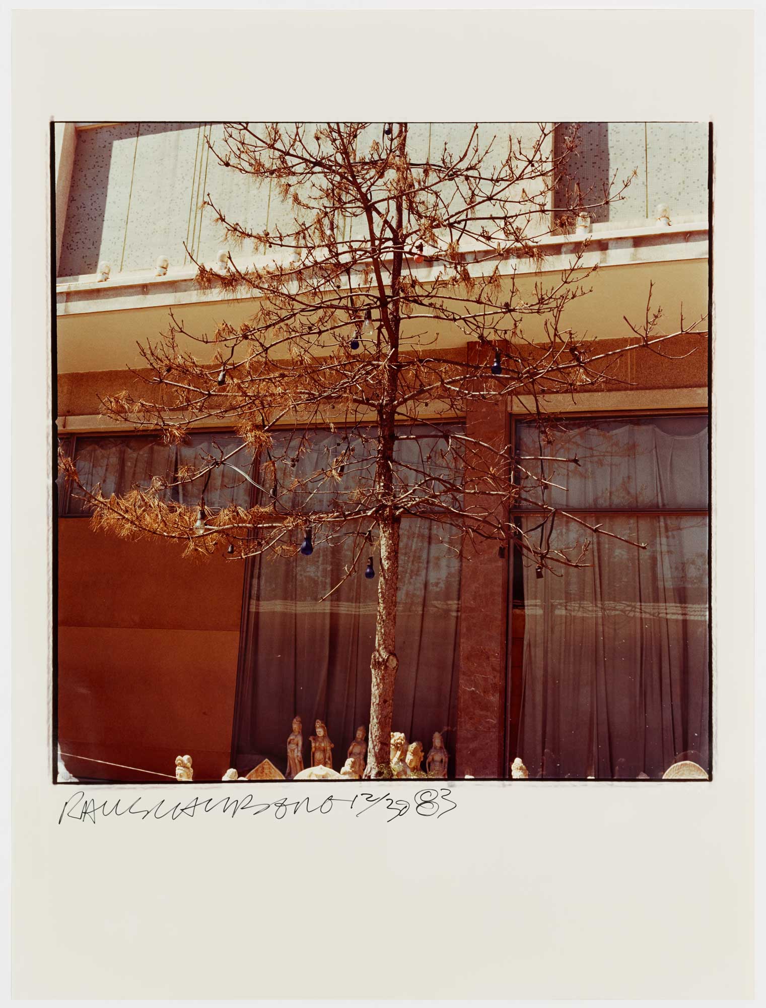 Tree And Bulbs by Robert Rauschenberg