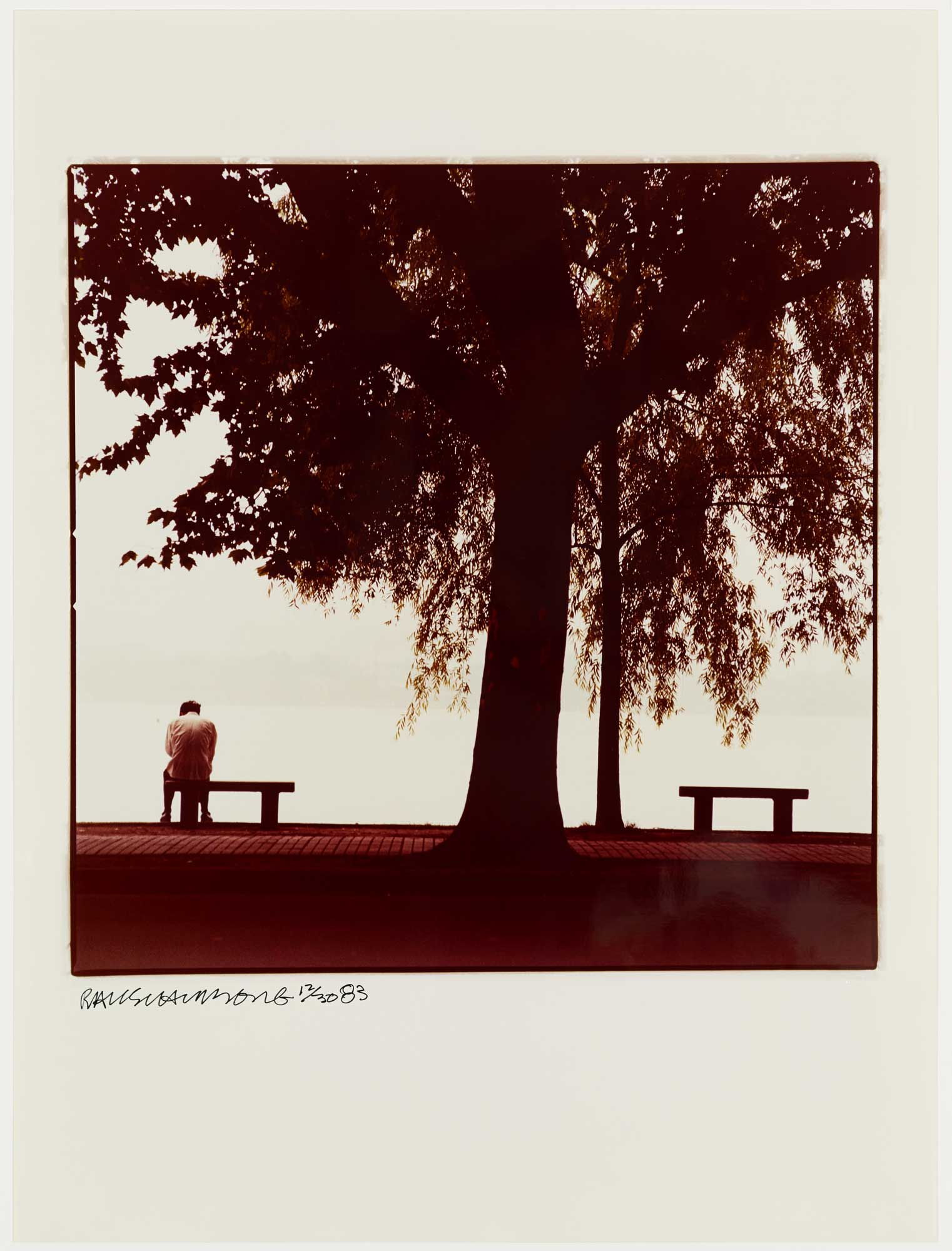 Tree And Man by Robert Rauschenberg
