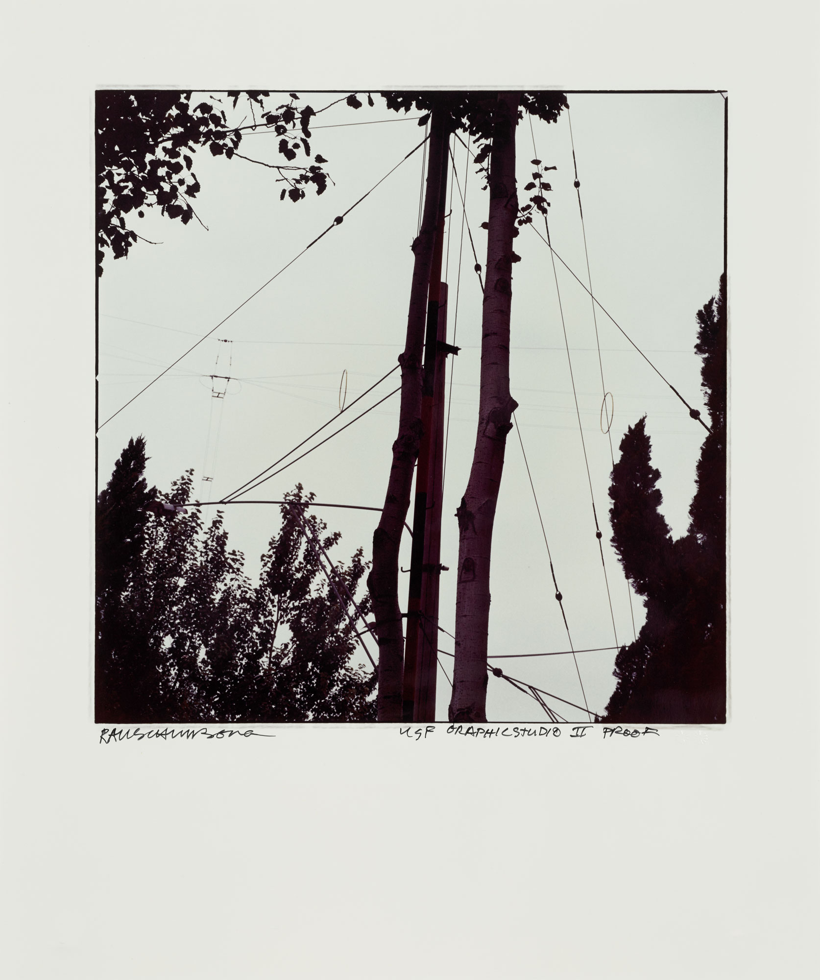Wires And Trees by Robert Rauschenberg