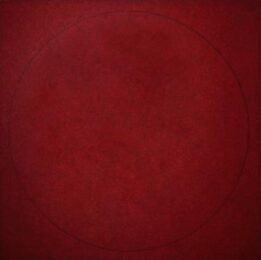 Redwing #9 by Patsy Krebs at ebo Gallery