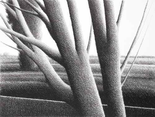 Thick Trees by Robert Kipniss